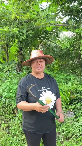 วันนี้มีตัวช่วยมาแนะนำแม่บ้านจ้า⚔️👇🏻👇🏻#อีสานบ้านเฮา #เคียวด้ามแดงตัดแต่งกิ่ง #เคียวด้ามยาว #แม่บ้าน #tiktok 