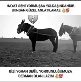 hayat seni yormuş ise YOLDAŞ'ındandır...
