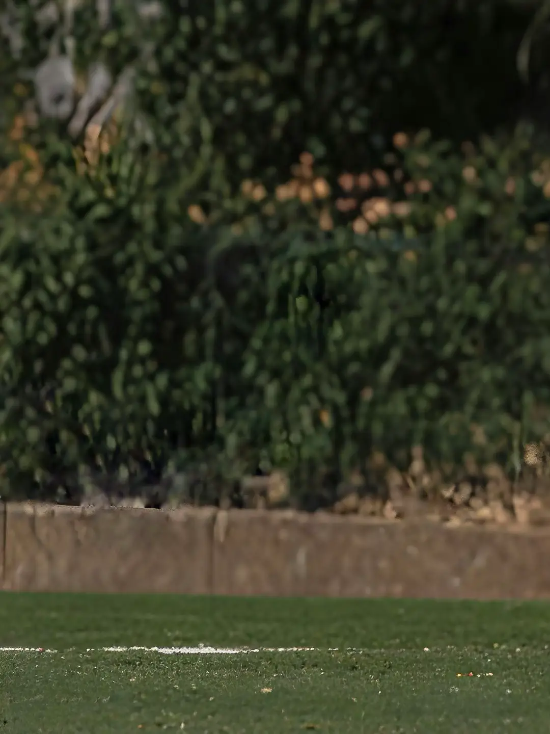 Cristiano Ronaldo at Portugal U17 during a training on July 20, 2001, Portugal.  #ronaldo 