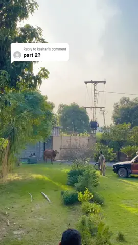 Replying to @kashan #whytiktokdeletemyvideo #pleasedontunderreviewmyvedios🔥 #foryou 