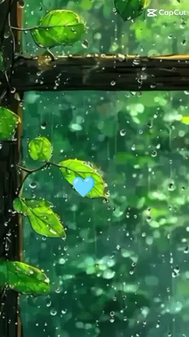 #bomdiaaaaa #carinhoporvoce❤️ #coracaoazul #viraliza #carinho 