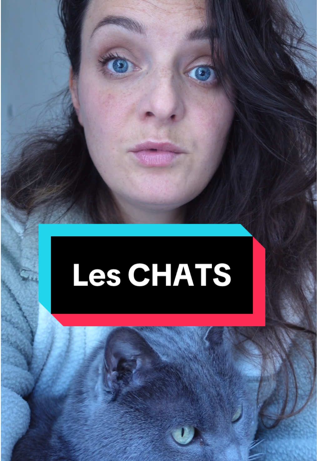 Les chats, c’est vraiment tous des branleurs (nan je déconne je vous kiffe trop les félins)  Partagez en commentaires vos pires anecdotes sur les chats pour une partie 2 #chat #chats #cat #animal  
