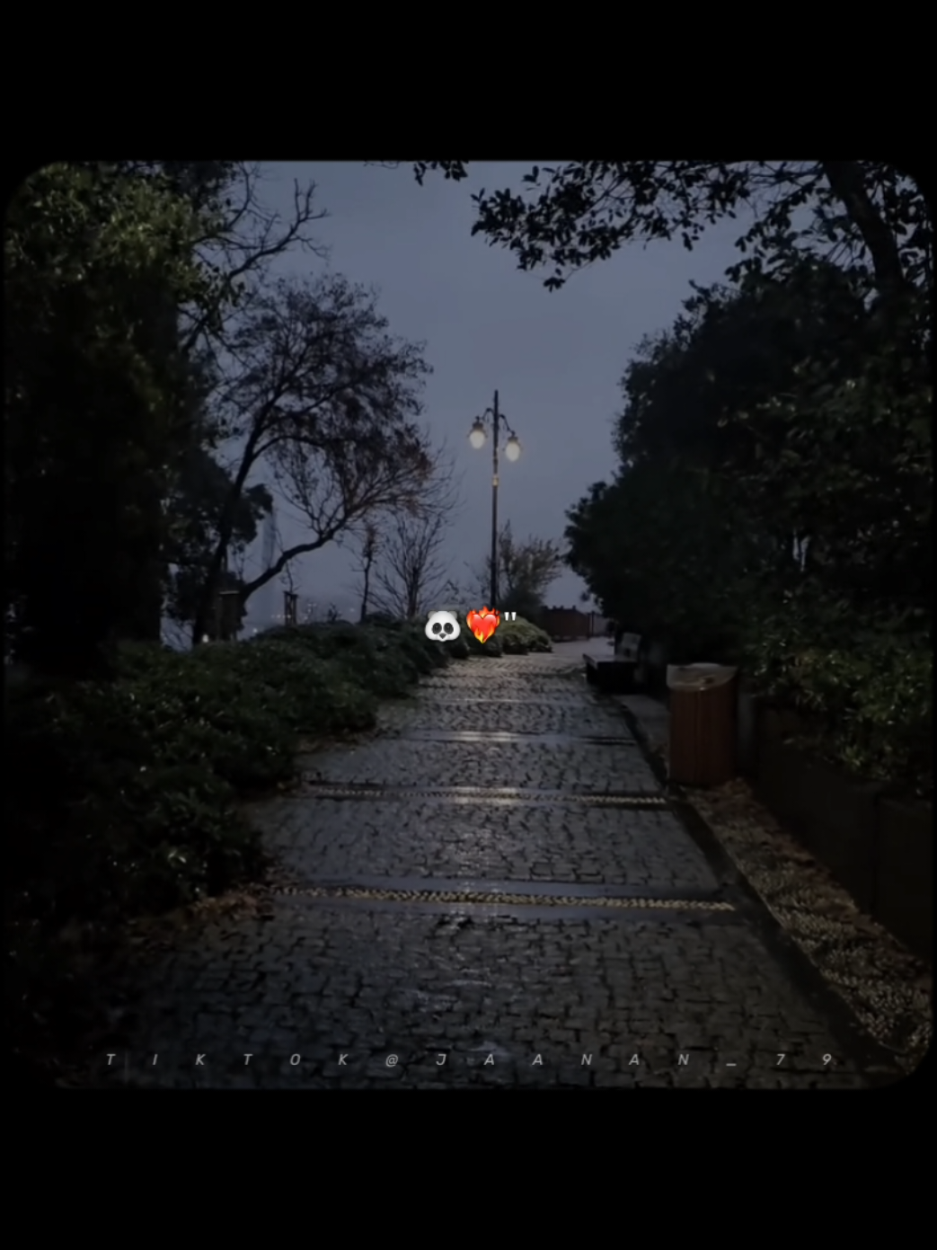 𝙈𝙖𝙨𝙩 𝙆𝙖𝙡𝙖𝙣𝙙𝙚𝙧🐼❤️ . . . . #foryoupagе #viral #treanding #jaanan_79 #grow 