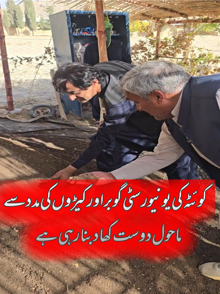 کوئٹہ کی یونیورسٹی گوبر اور کیڑوں کی مدد سے ماحول دوست کھاد بنا رہی ہے