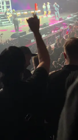 #finch #finchifiziert #oberhausen #summercem 