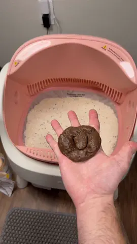 No more scooping or smells 🐈 #catlitter #autoscooper #litterbox #automaticlitterbox #tiktokshopcreatorpicks 