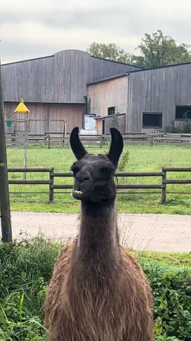 #salutmoicestnicolas 