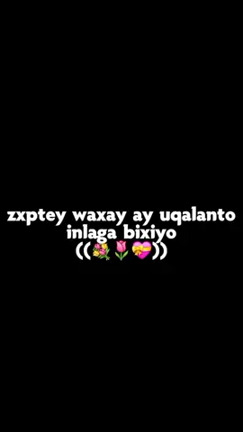 lov sar