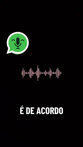 De acordo com as minha paranoia kkkkkk #viraltiktok #audiosengraçados #audioswhatsapp 