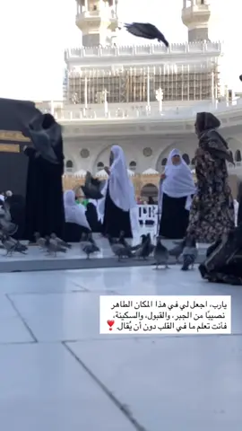 “اللهم في هذا المكان المبارك، اجعل لي من كل همٍّ فرجًا، ومن كل ضيقٍ مخرجًا، وارزقني راحةً تملأ قلبي، وجبرًا يدهشني بلطفك، اللهم تقبّل دعائي، وحقق لي ما أتمنى، إنك على كل شيء قدير.” 🤍 #عمره_مقبوله_باذن_الله #مكه #بيت_الله_الحرام #اللهم_صلي_على_نبينا_محمد #الحمدالله_على_نعمة_الاسلام 