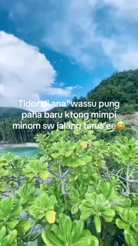 #fyppppppppppppppppppppppp #promoseruweekend #ambonpride🏝🔥 #ambontiktok #lewatberanda #xyzbca #wassumanise🏞🌅 #