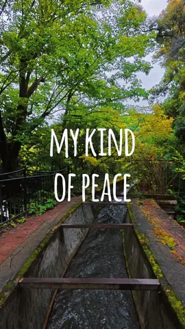 Chớm thu 🍁 ở Kyoto 🇯🇵 #keageincline #nanzenjitemple #kyoto #japan