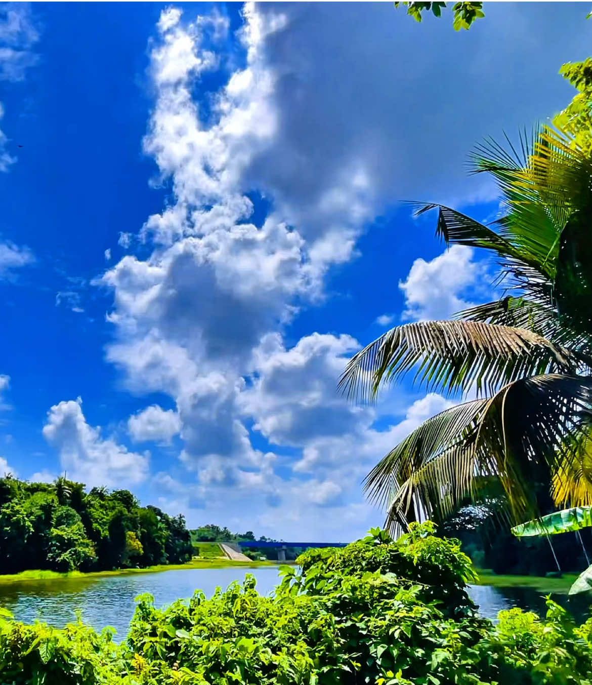 আমি মিথ্যা আমি