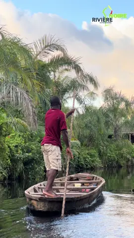 Immersion authentique à la rivière noire 📍 #benintiktok🇧🇯  #tiktokfrance🇨🇵  #original  #foryou  #asmr @RIVIÈRE NOIRE SPLENDEUR 🇧🇯 @Rivière noire 🇧🇯 @@ladona229🇧🇯⚔️ @Votre belle sœur nationale🇧🇯 @Ak-rame Adechokan 