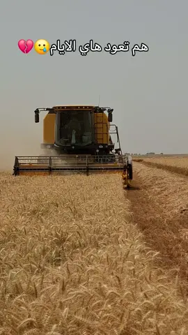 #متابعه_ولايك_واكسبلور_احبكم #زراعه #الشعب_الصيني_ماله_حل😂😂 #متابعه_ولايك_واكسبلور_احبكم 