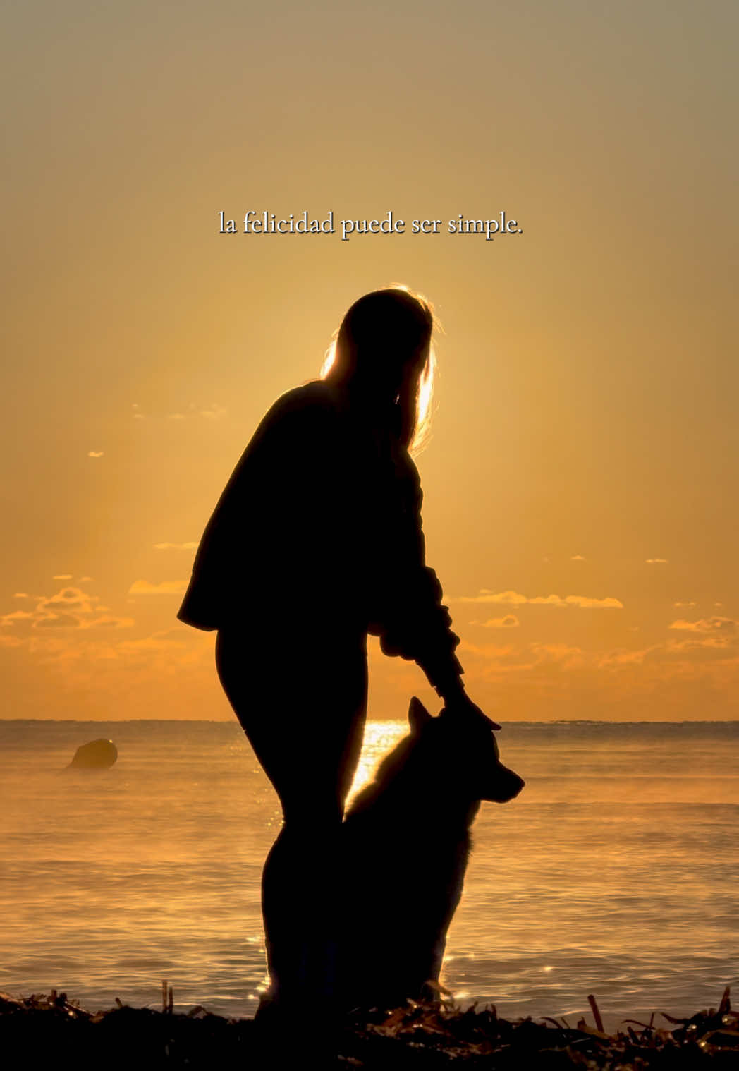 Tan simple como esto: ❤️‍🩹  #felicidad #amanecer #parati #husky #perrofeliz 
