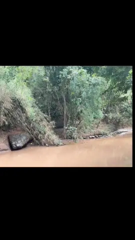 #จินตนาการแห่งธรรมชาติ #AmazingNature #SnakeAI #AIStory #FantasyVideo  