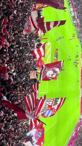 #fcbayern #fyp #südkurve 