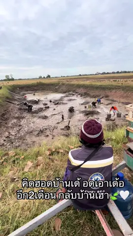 #วิถีบ้านนาอิสานบ้านเฮา 