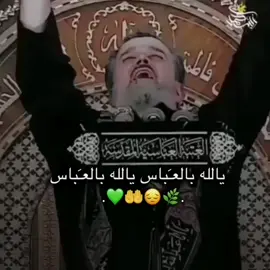 يا ابو فاضل# يا عباس #علي مدد