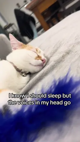 Yuka une fan de techno depuis toujours 🤣🤣 #pourtoi #fyp #animal #techno #cat 