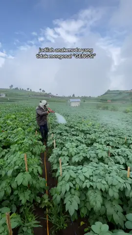 bukan sekedar hari ini tapi untuk masa depan🌱  #petanikentang #petanimilenial #petanimuda 