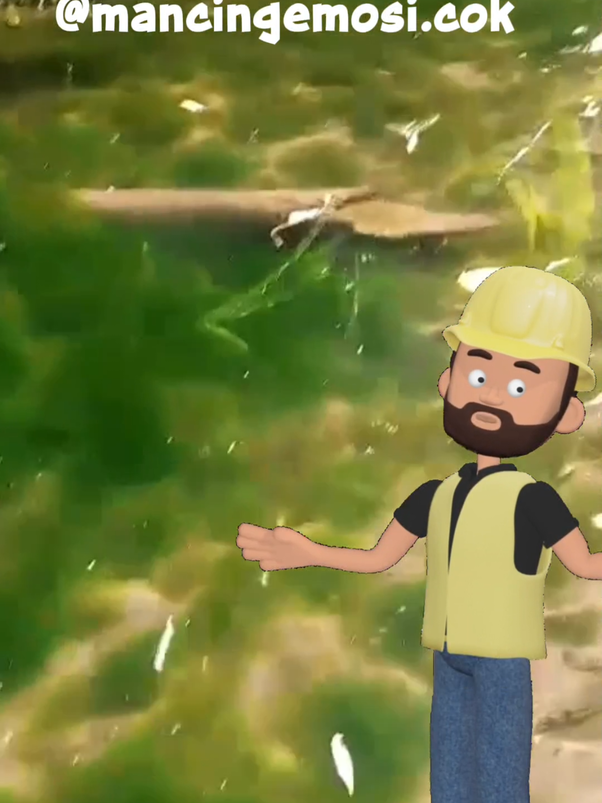 Jenis jenis lumut buat mancing apa aja lord?  Follow @mancingemosii.cok buat tau info mancing gacor yang lain.  #mancingmania #mancing #lumut #fyp #foryou 