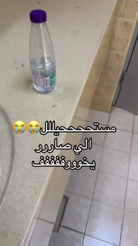 #اكسبلورexplore 