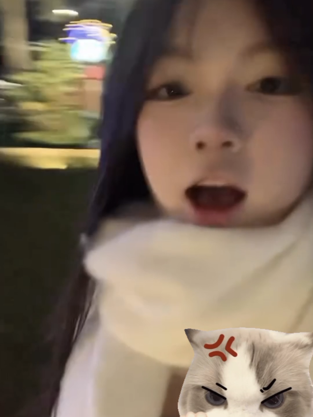 em khong can #baby #penguin 