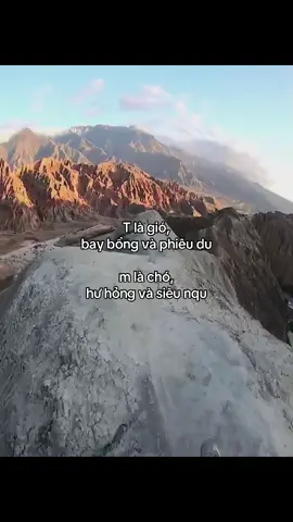 T là gió,  bay bổng và phiêu du m là chó, hư hỏng và siêu nqu