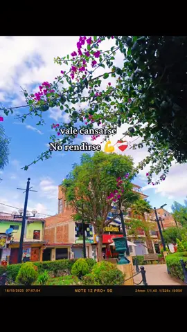 #huaraz_ancash_peru🇵🇪🇵🇪🏞️🌲 