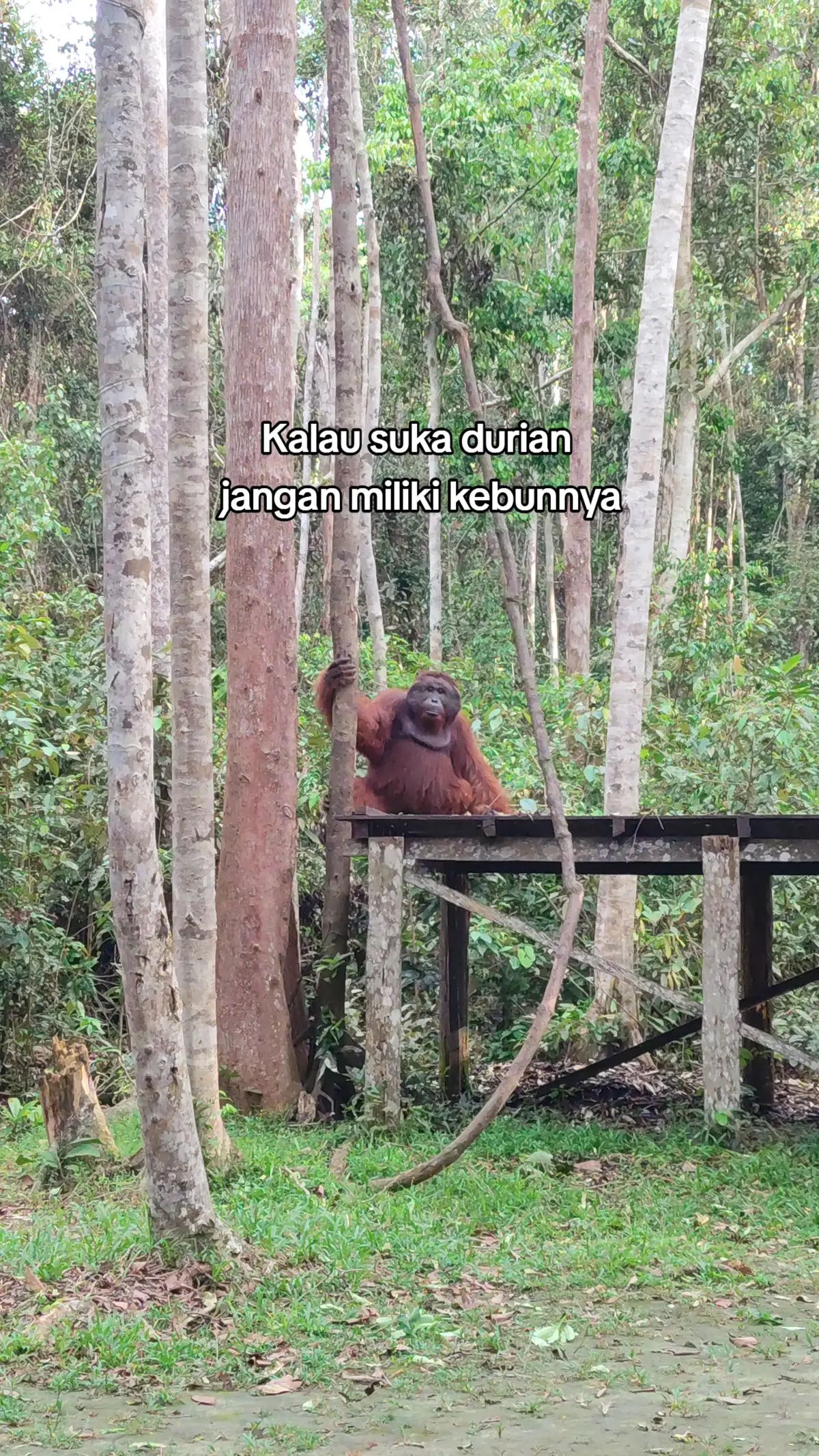 #fyppppppppppppppppppppppp 