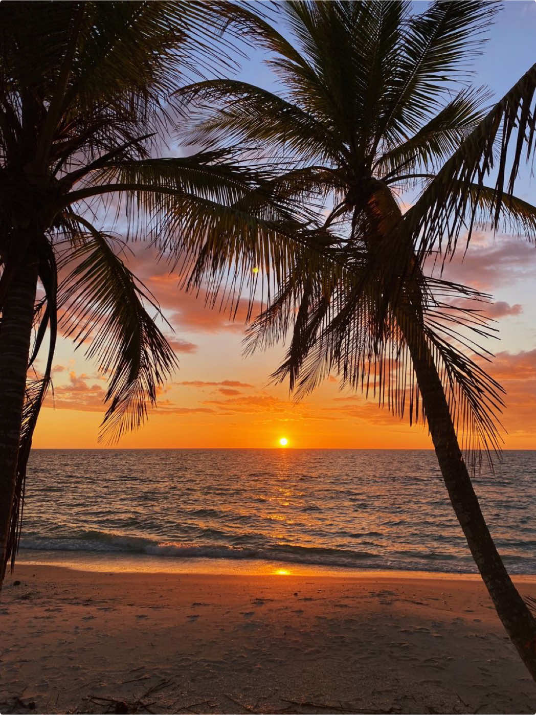 island in the sun ~ weezer (2001) #lyricsvideo #weezer #islandinthesun #throwbacksongs #slowedsongs 