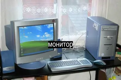 нежное это — по сети #fyp #song #нежноэто