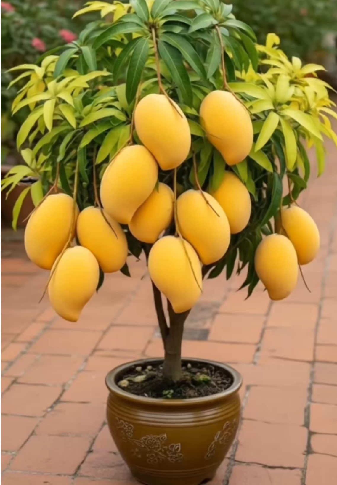 A new idea to grow mango trees with egg produce more fruit in a short time#growing#mango#grafting #egg