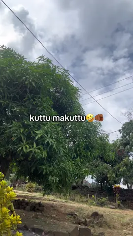 taq lakuttu🤣#promoseruweekend #promomakan1010 #promoseruweekend #fyp #masukberanda  