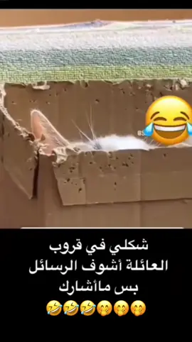 #متابعه_ولايك_واكسبلور_فضلا_ليس_امر #🤣🤣🤣🤭🤭🤭🤪🤪🤪 