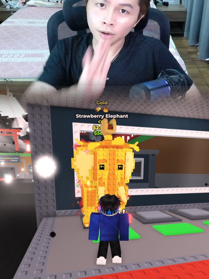 Top 1 Meowl Việt Nam #WonR #StealABrainrot