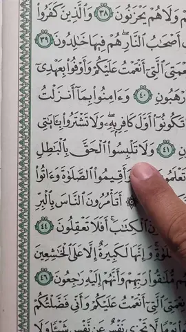 From Surah Al-Baqarah 📖 🎧🌎 #🤍 #quran #fyp #fypシ #foryoupage 