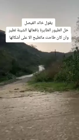 #اسعدالله_اوقاتكم_بكل_خير من المناظر الطبيعية وجمال الطبيعة عسى ان ينال اعجابكم #مناظر_طبيعيه #اكسبلورexplore #fip #اكسبلور 