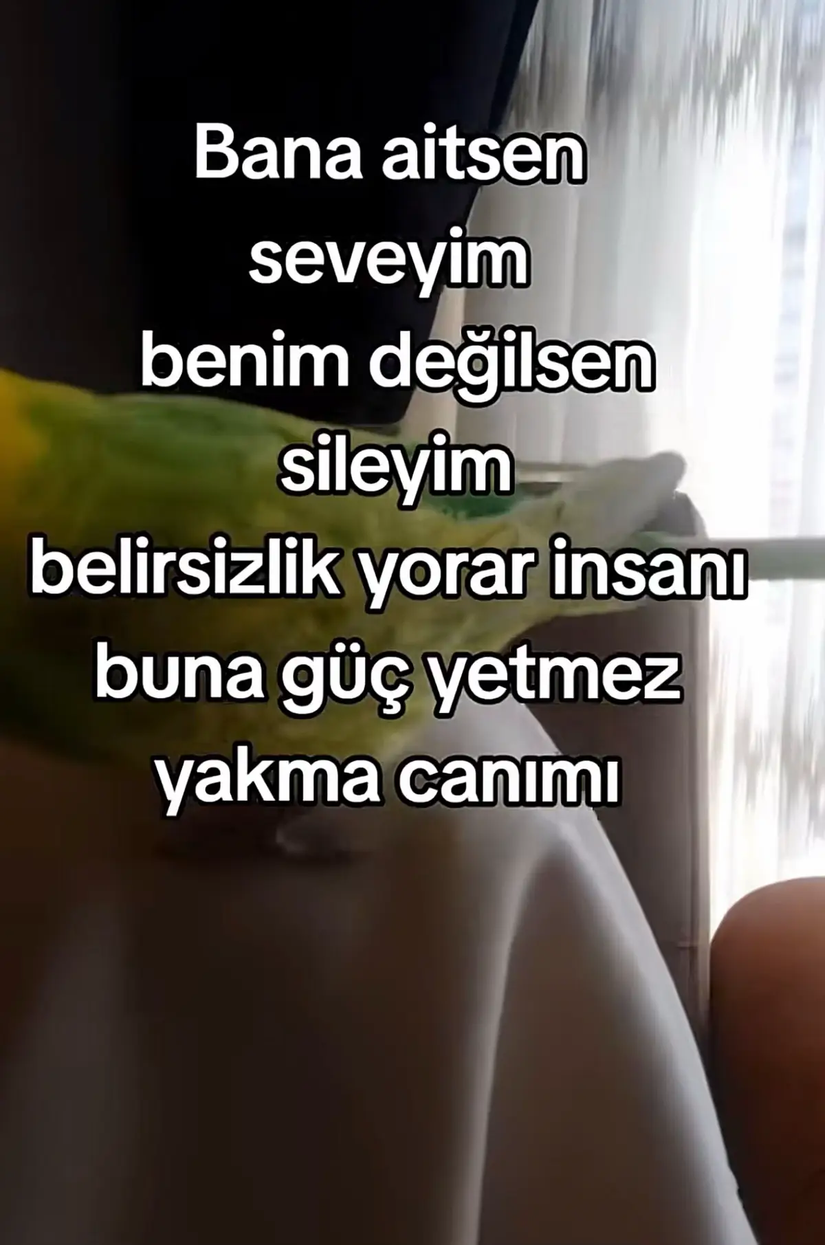 #ankara #alevi #balım #CapCut 
