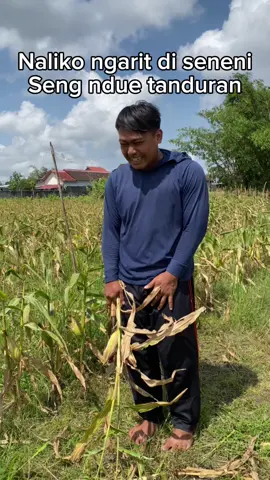 Tulungg aku di seneni😩#fypage #fyp #tukangngarit #sabilfarm #blitar24jam 