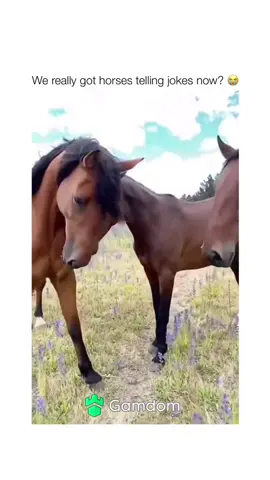 #fyp #viral #funny #animals #trending 