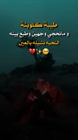 #عباراتكم_الفخمه📿📌 
