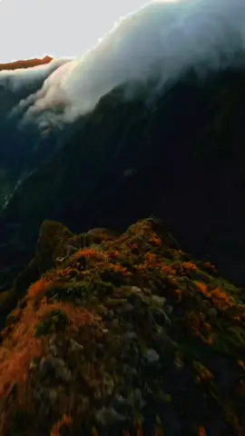 #يارب #لكن_احذروا#وتلك_الايام_نداولها_بين_الناس #music #you 