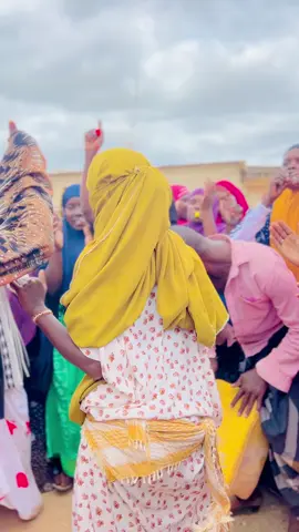 #hamabaliyo ugaas #fyp #viral #foryoupage 