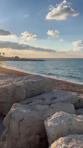 لا وصف لحيفا سوى ملكه الساحل ❤️#حيفا_عكا_يافا_جنين_القدس_الخليل_سخنين #امالفحم_طيبه_كفرقرع_طيره_باقهالغربيه_ #يافا_تل_ابيب_نتانيا_عكا_حيفا #بئر_السبع_رهط_شقيب_اللقيه_حوره_كسيفه #زيمر_جت_باقة_الغربيه 