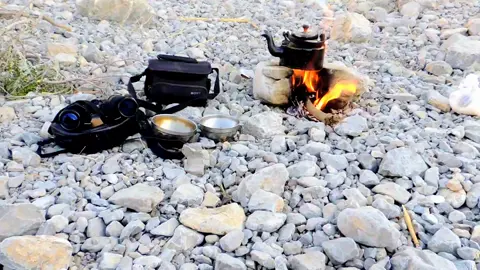 #waldlaife #takato #muntain #catsmoves #beutifullsenryes 