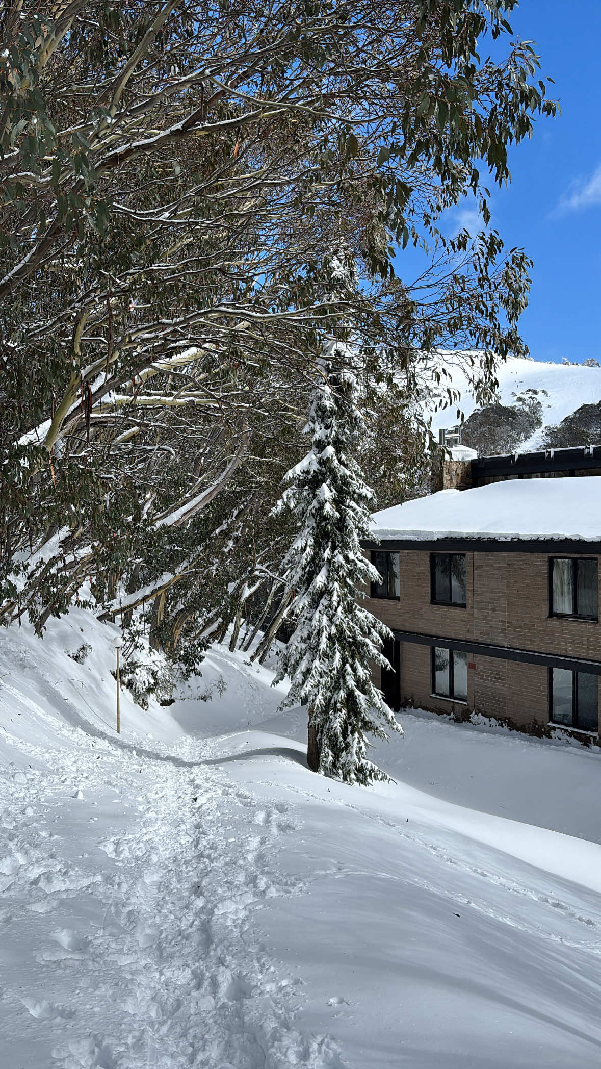 @CapelinCrew Outdoor Wear new 25/26 line of jackets! Use code ‘CHILLI10’ for money off #fyp #snowboard #snow #snowjacket #snowsound