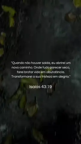 Um versículo que muda a forma como você vê a vida. #palavradedeus #PalavraDeDeus #VersículoDoDia #fe #cristao 